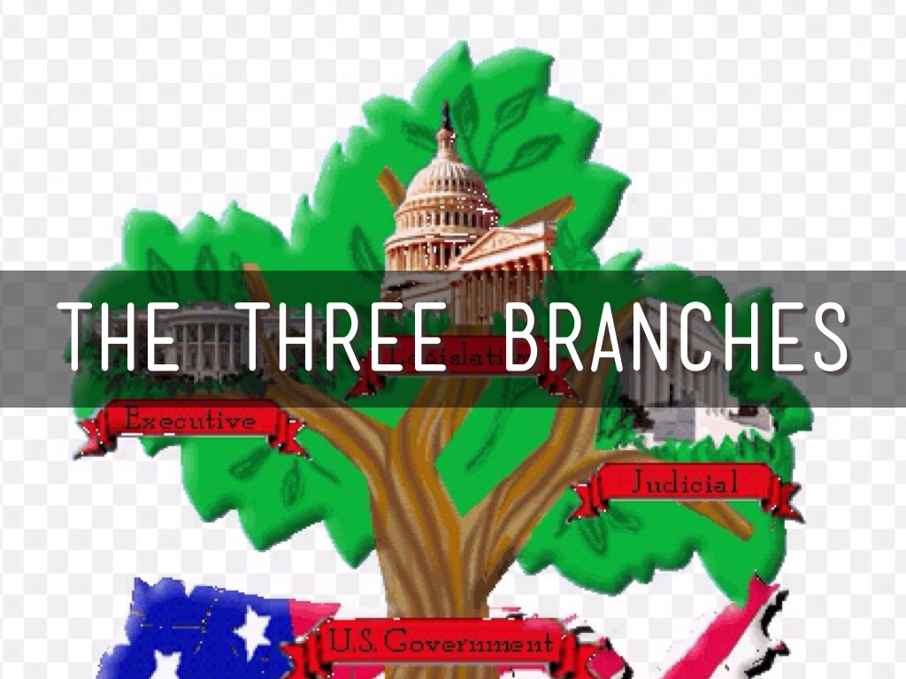 3 branches