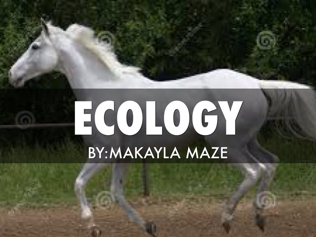 Ecology