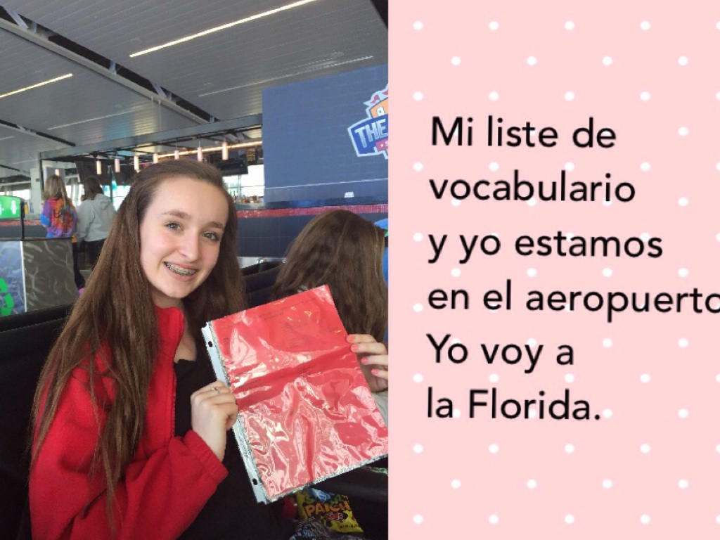 El Libro De Vacación