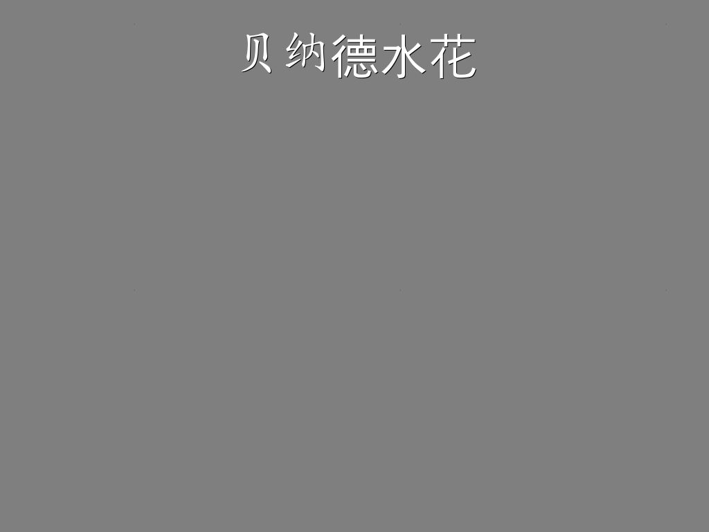 贝纳德水花