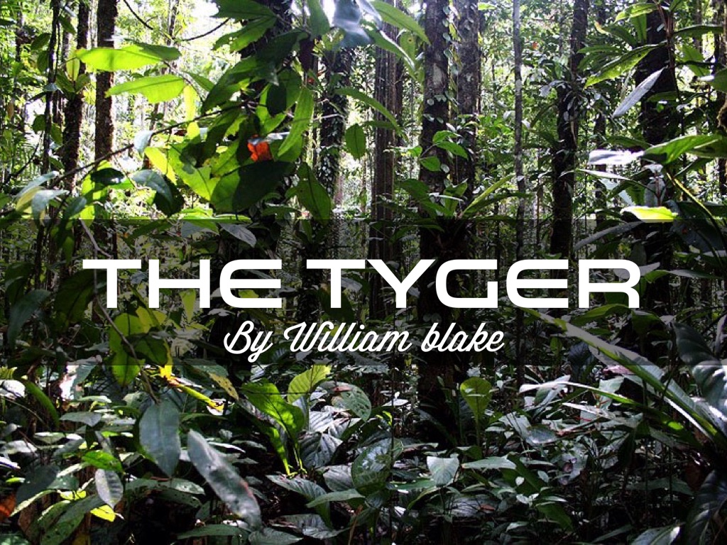 The Tyger