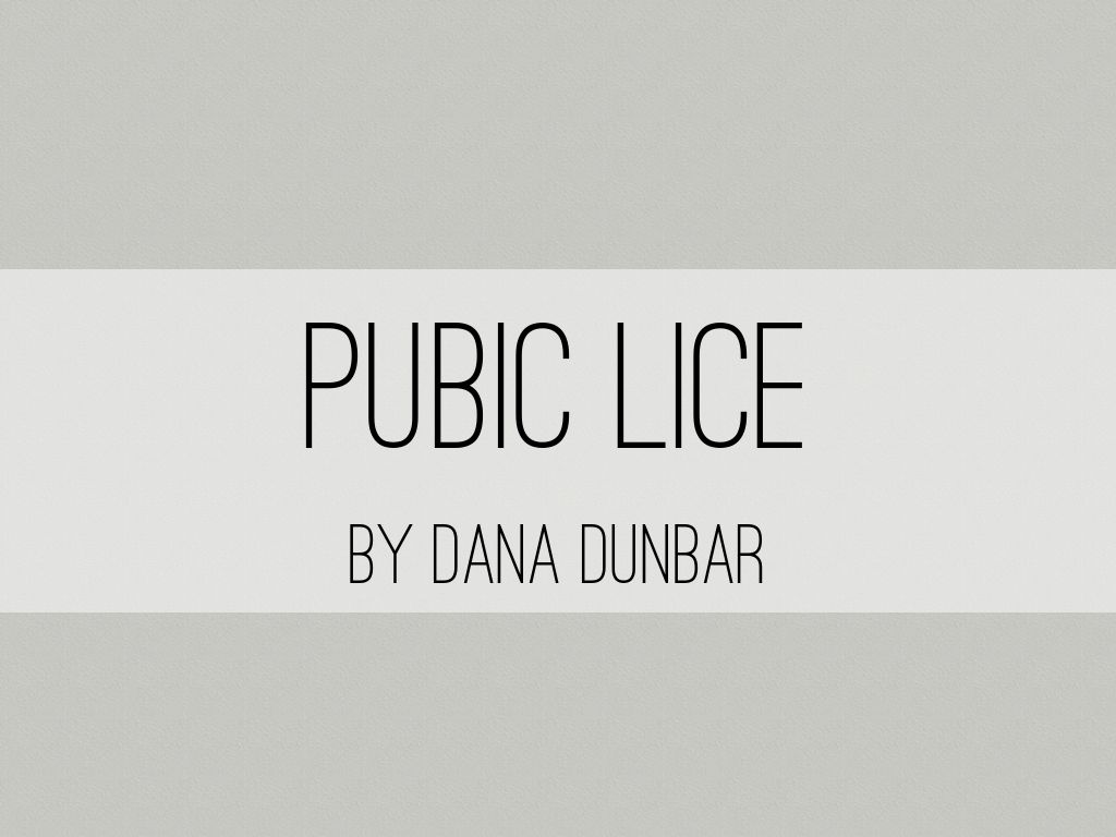 pubic lice