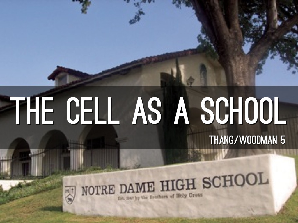 The Cell as a School