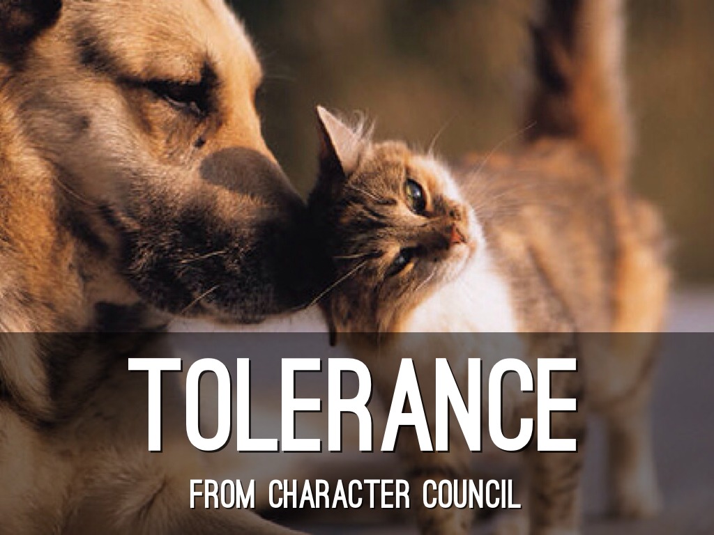 Tolerance