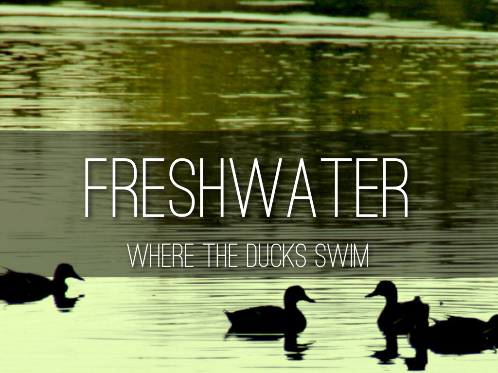Freshwater