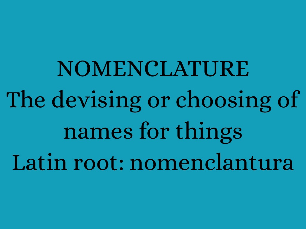 Latin Derivatives by Bryce Harvey