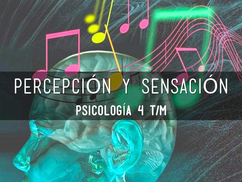 Percepción Y Sensación 