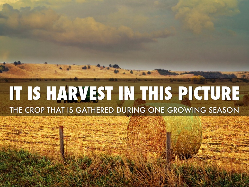 Journeys Lesson 8 Vocabulary 