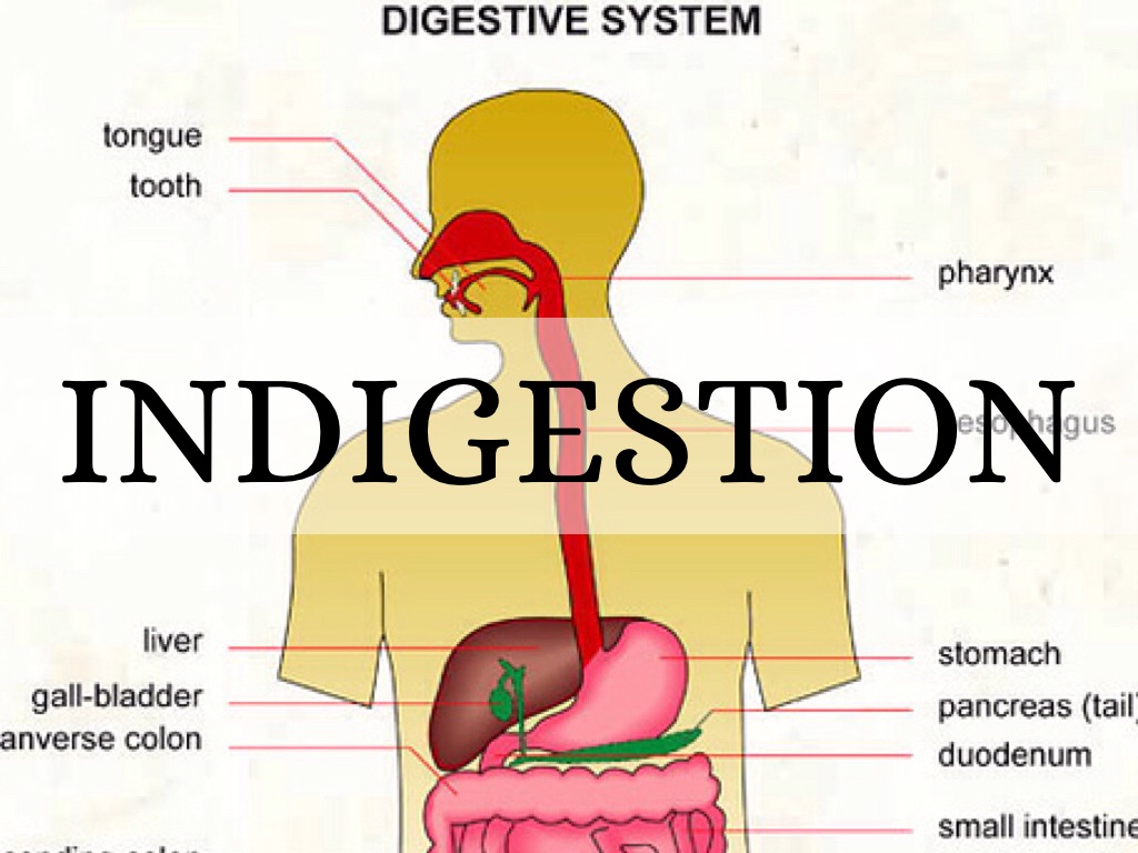 Indigestion By Montaja Mcmullen