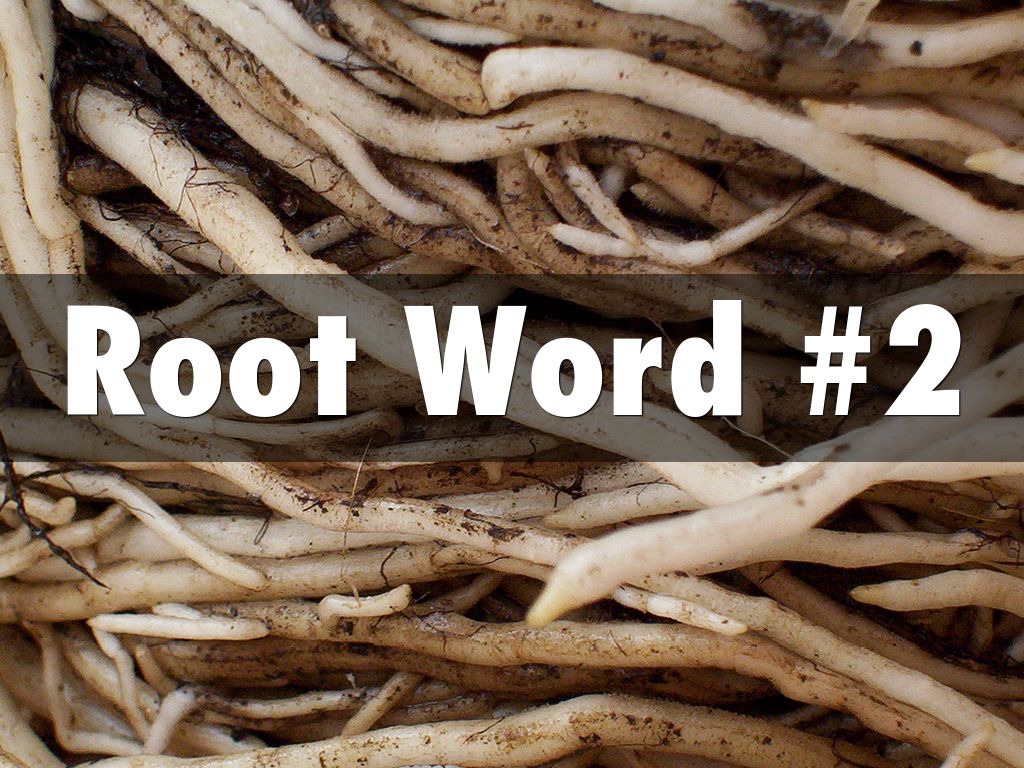 Root Words #2