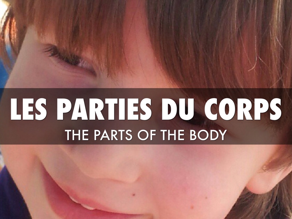 Les Parties du corps