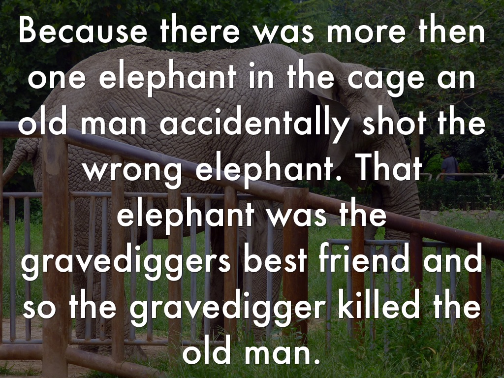 The Tusk That Did The Damage by Felicity Paschen