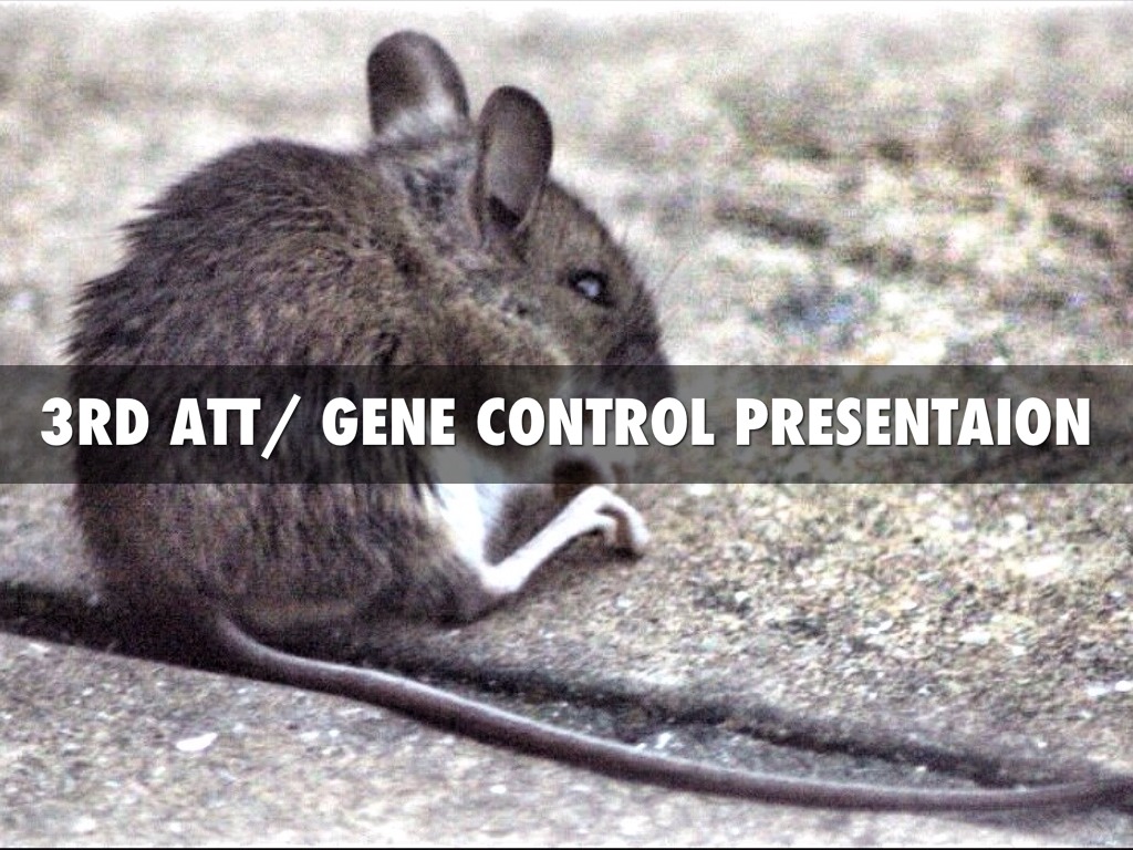 3RD ATT/Gene Control presentation
