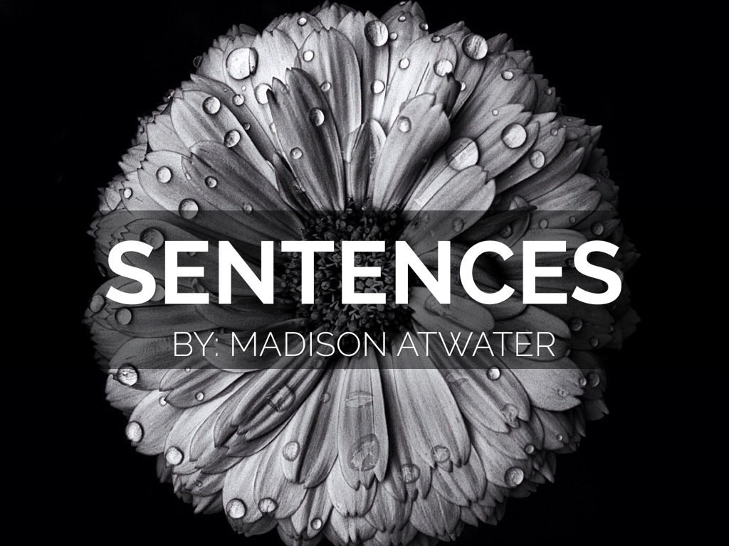 Sentences