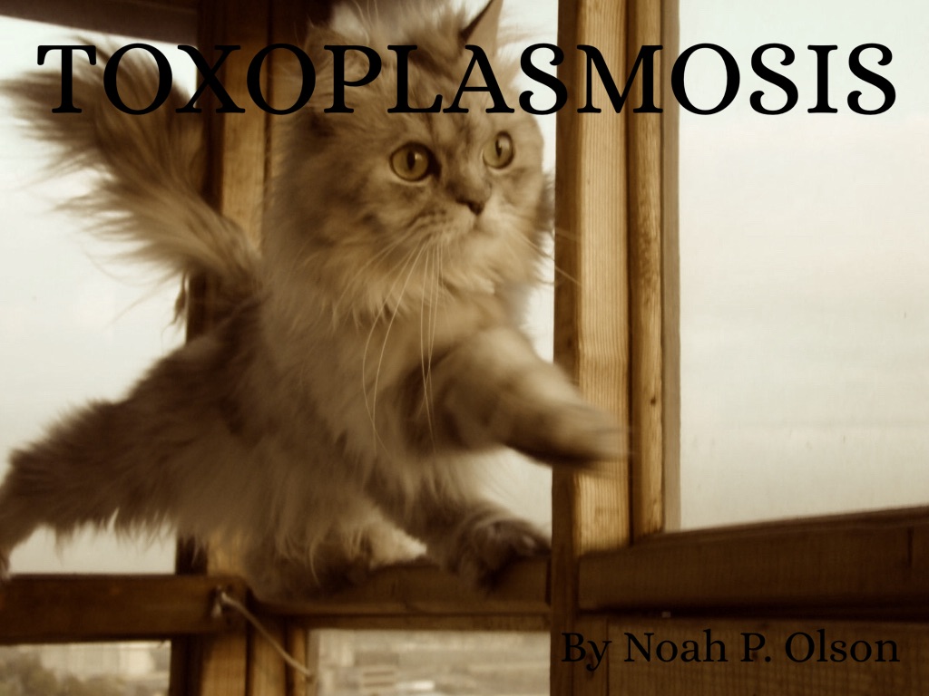Toxoplasmosis