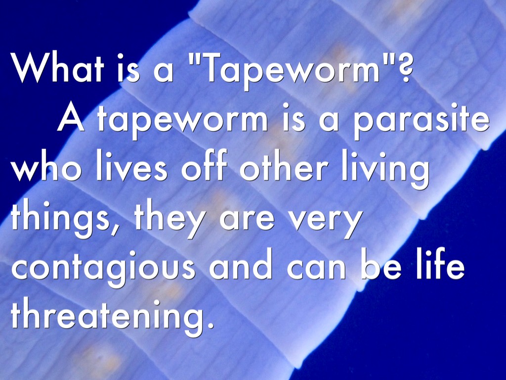 tapeworms by Leighanna Cockrell