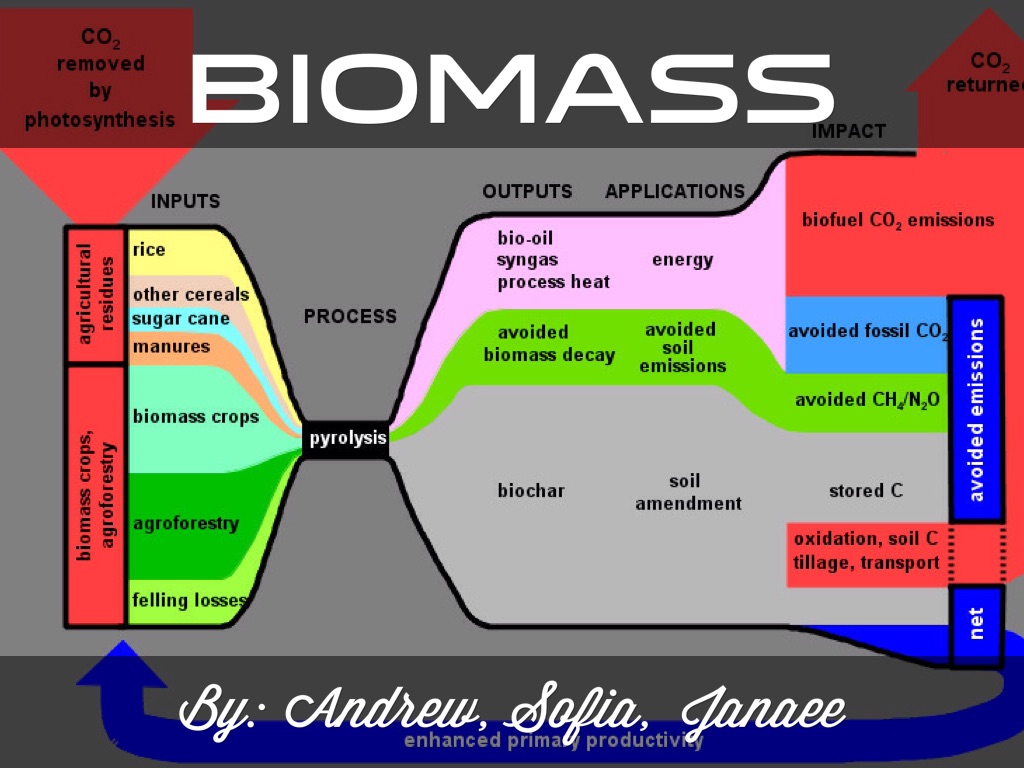Biomass 