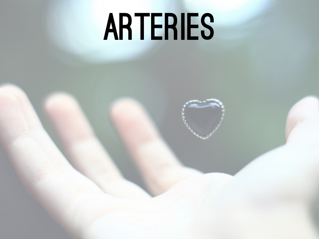 7th Grade James Bond