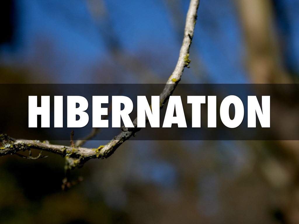 Hibernation