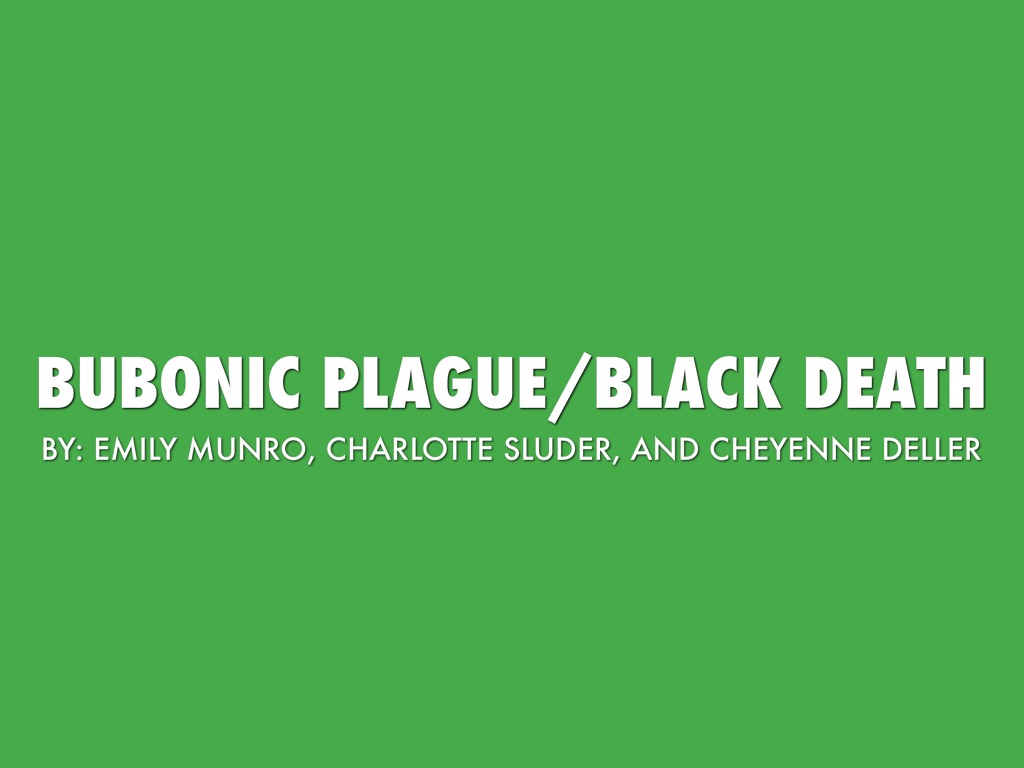 Black Death And Bubonic Plague  