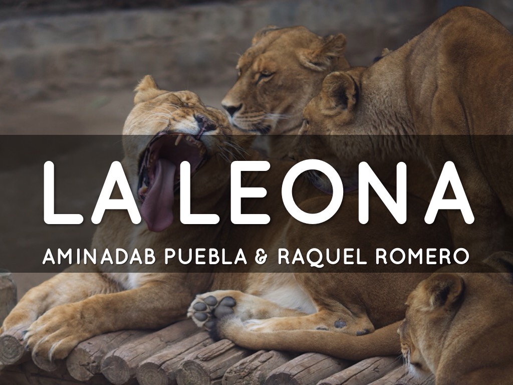 Cuento Latinoamericano