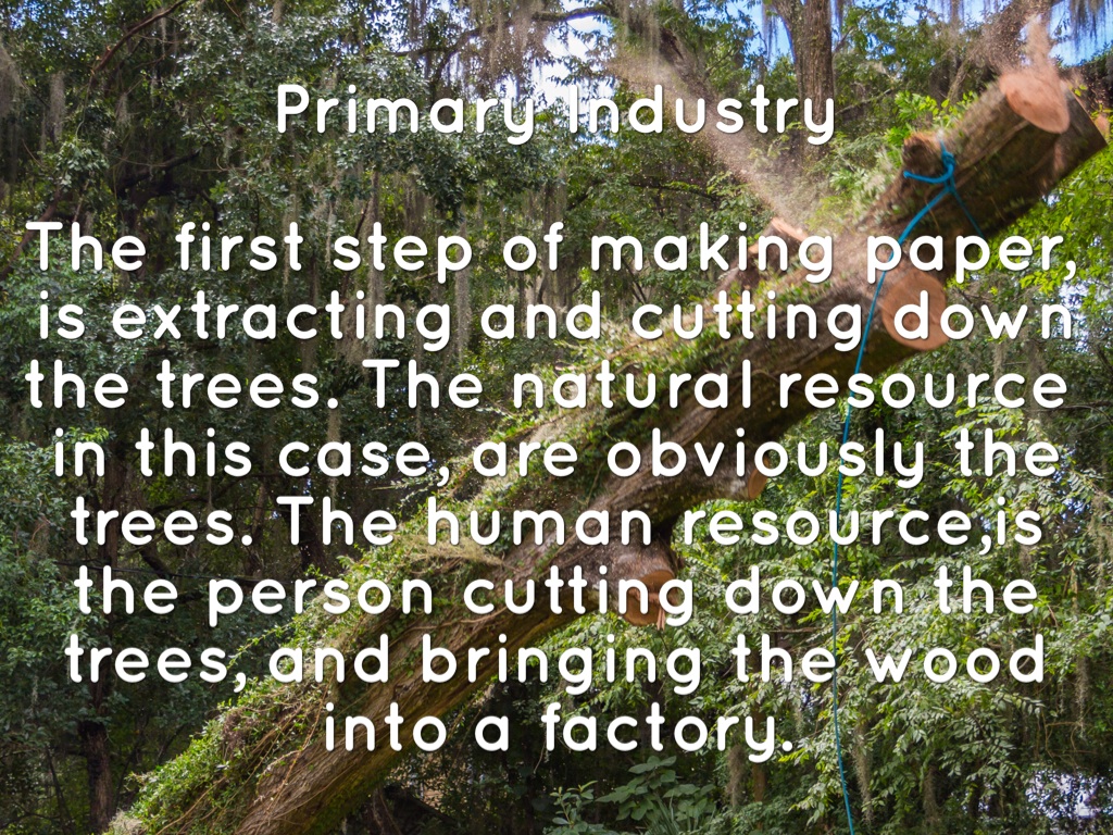 The Story of Trees to Paper by Maya Alfakhri