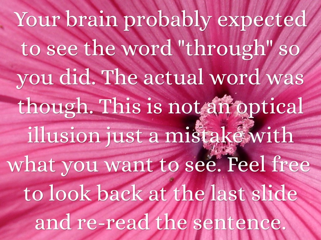 The Mysteries Of Optical Illusions by J D