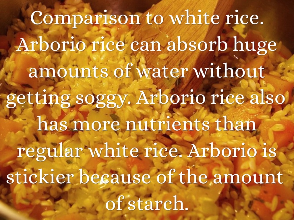 Arborio Rice by Madison Herbert