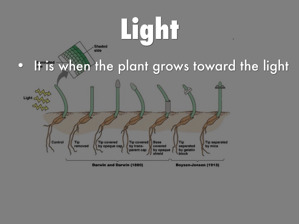 Science by Brittney Howard