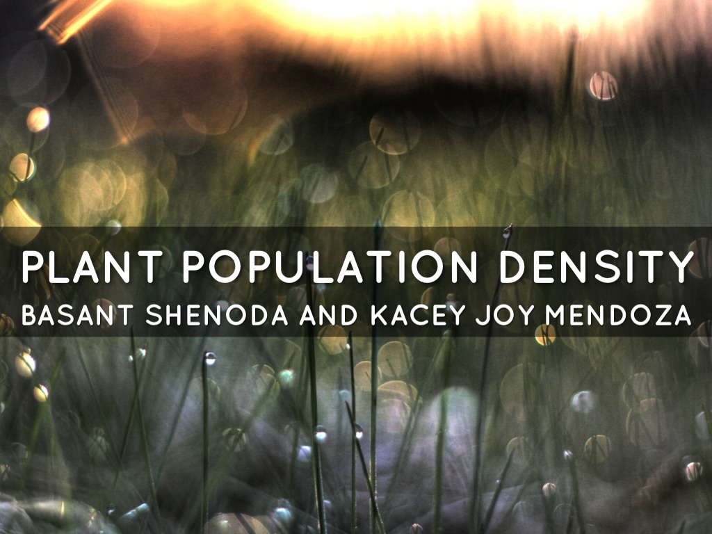 Plant Population Density by basabeoo