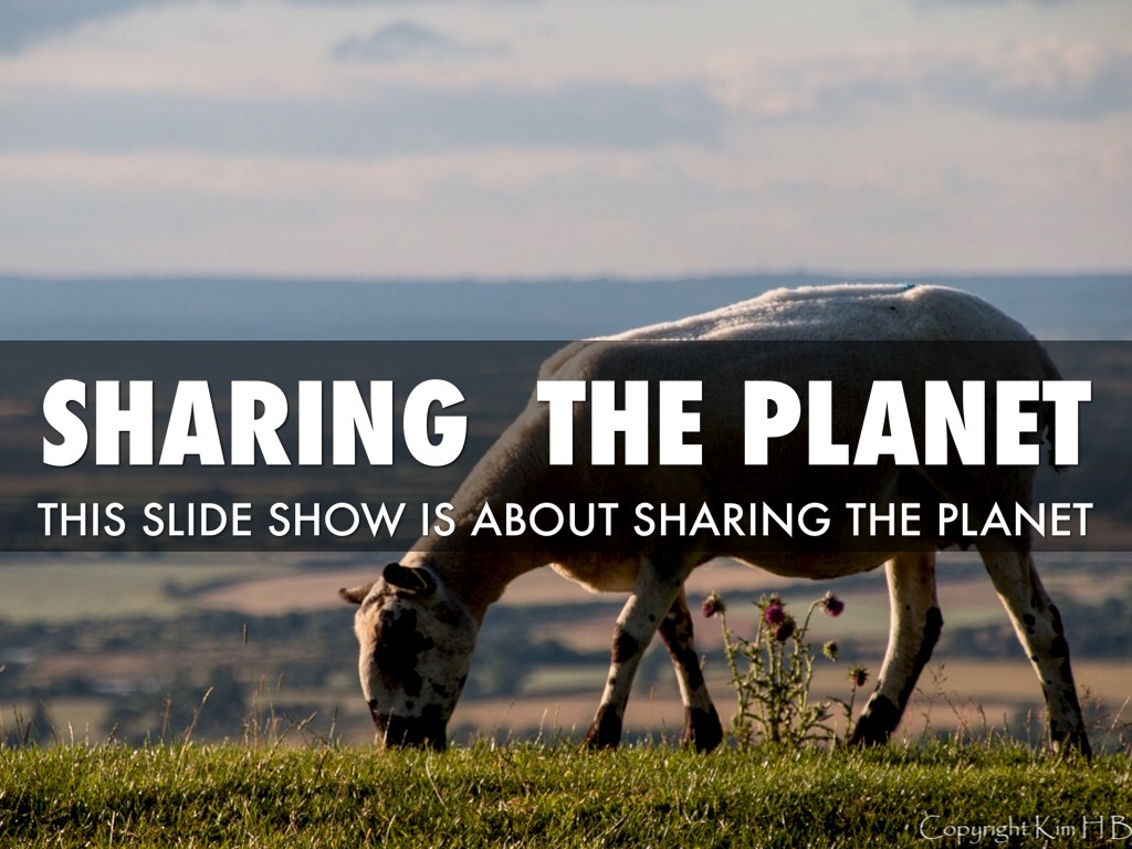 Sharing The Planet