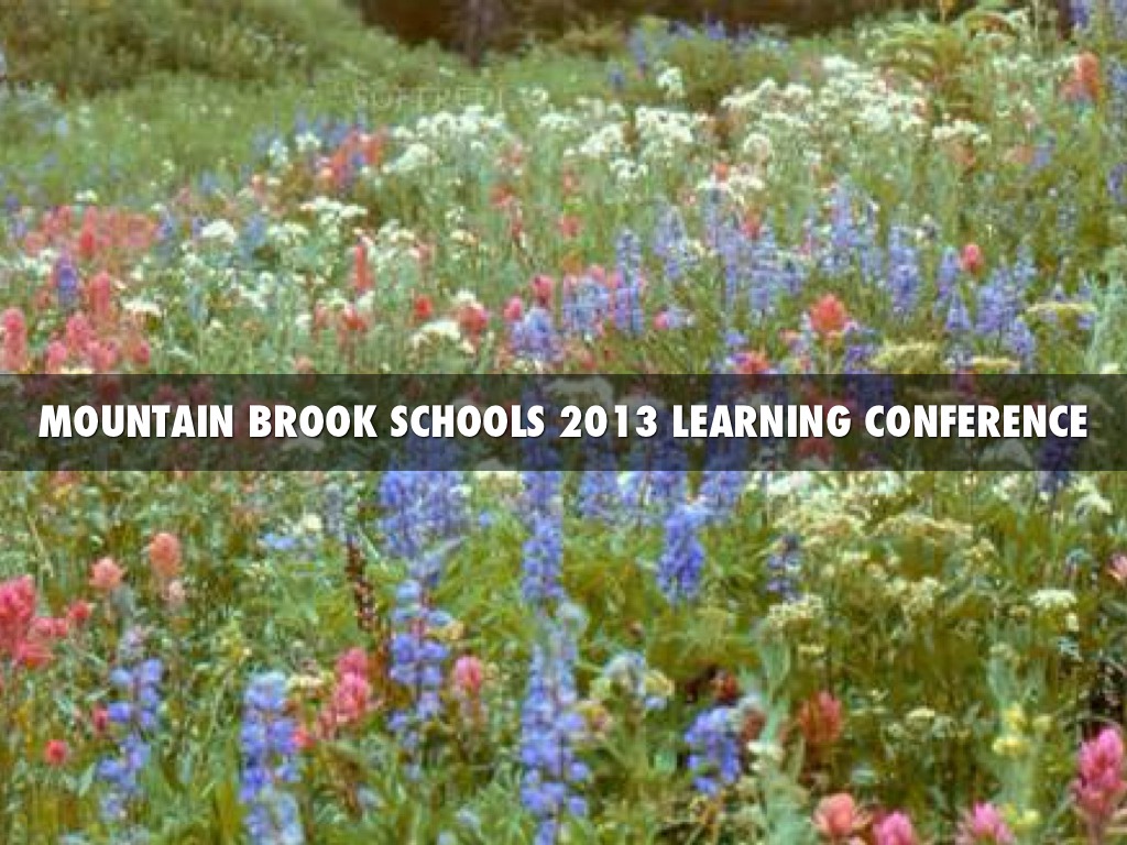 Life Cycle Of Plants In Education