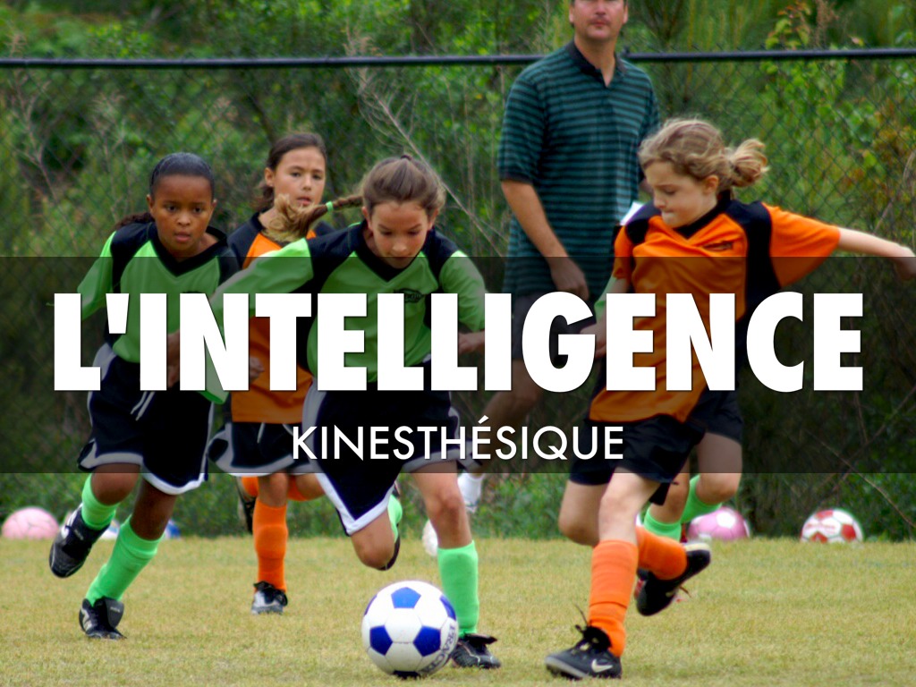 L'intelligence Kinesthésique