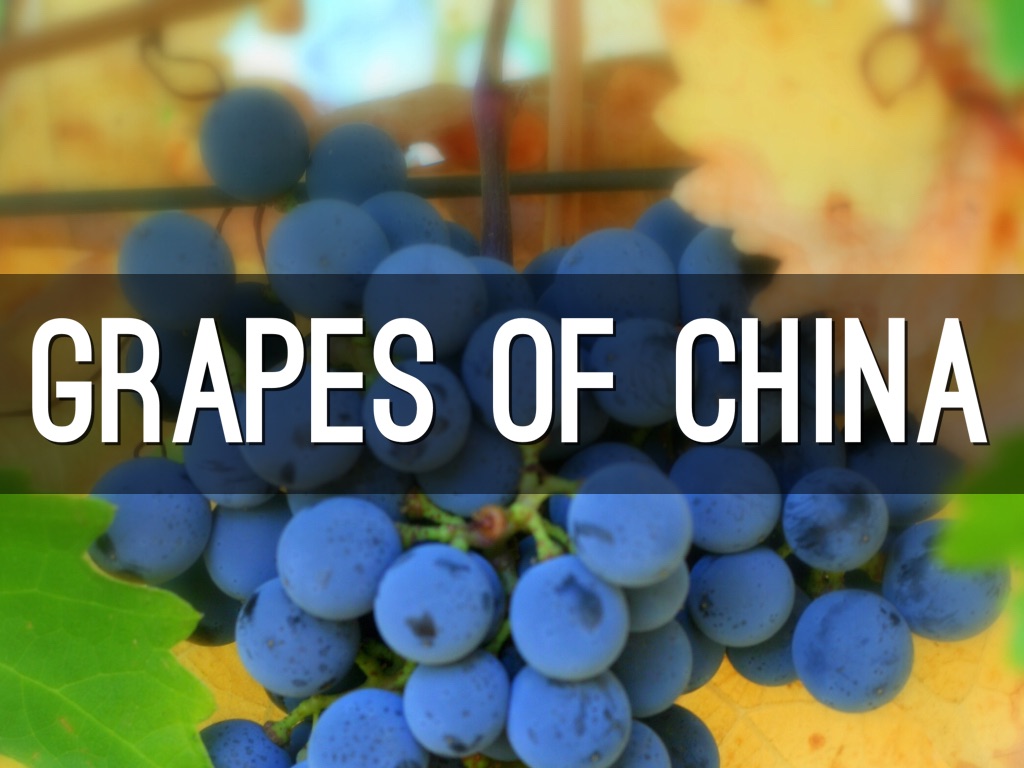 Grapes Of China by Gavin Ly