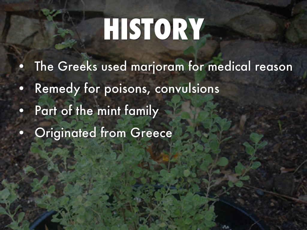 Marjoram by Jake Abate