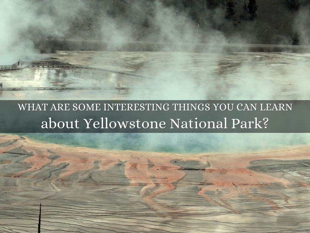 Yellowstone National park by Emma Harris