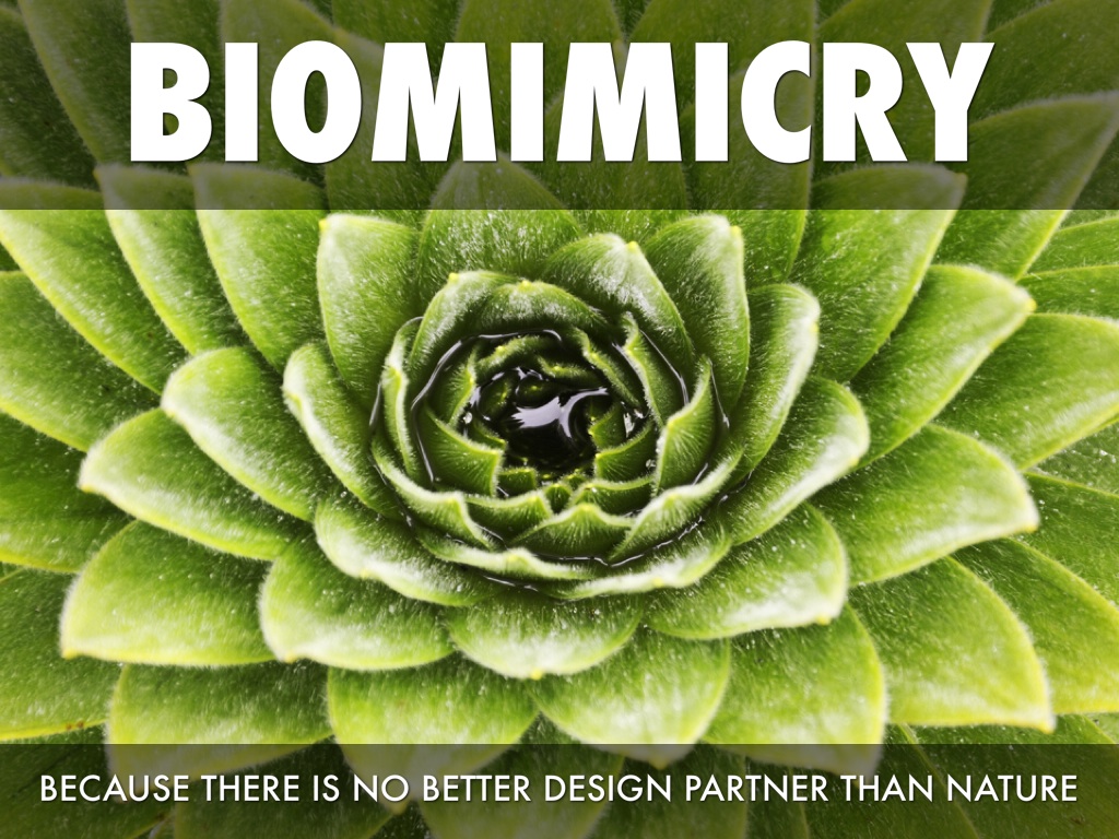 biomimicry