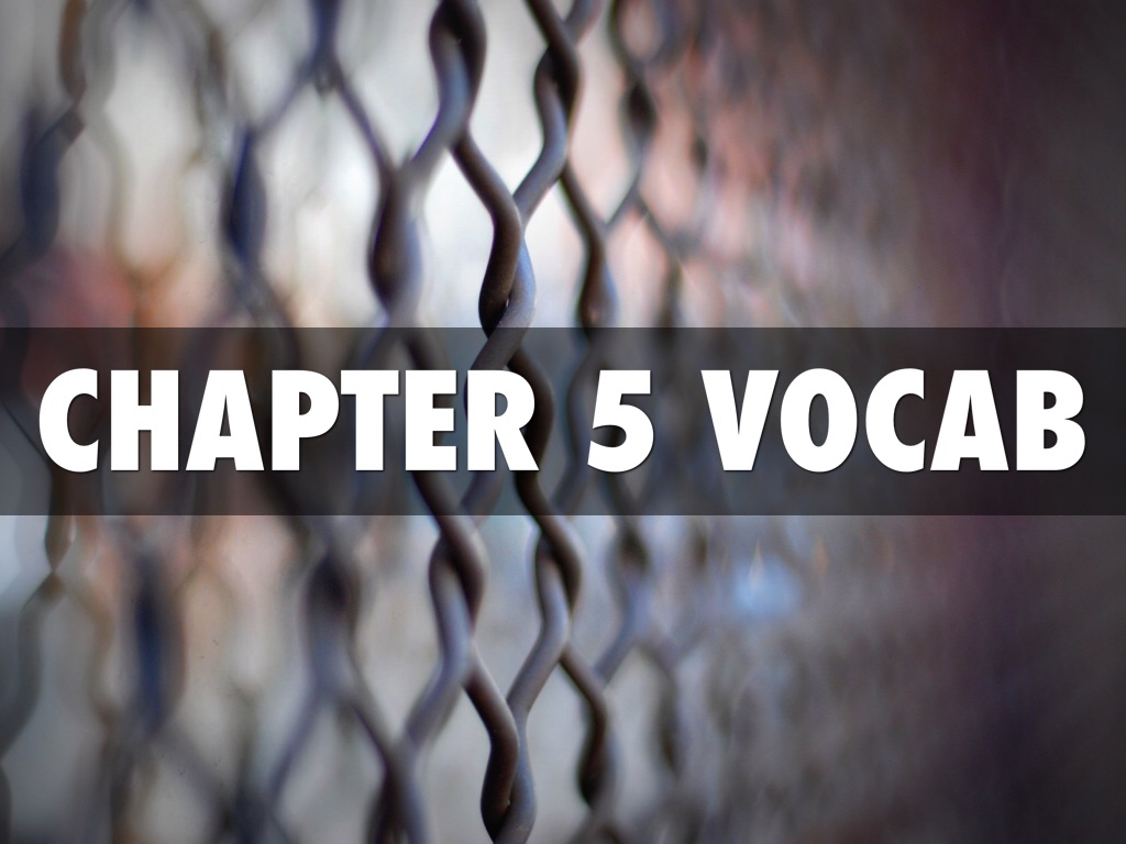 Chapter 5 Vocab