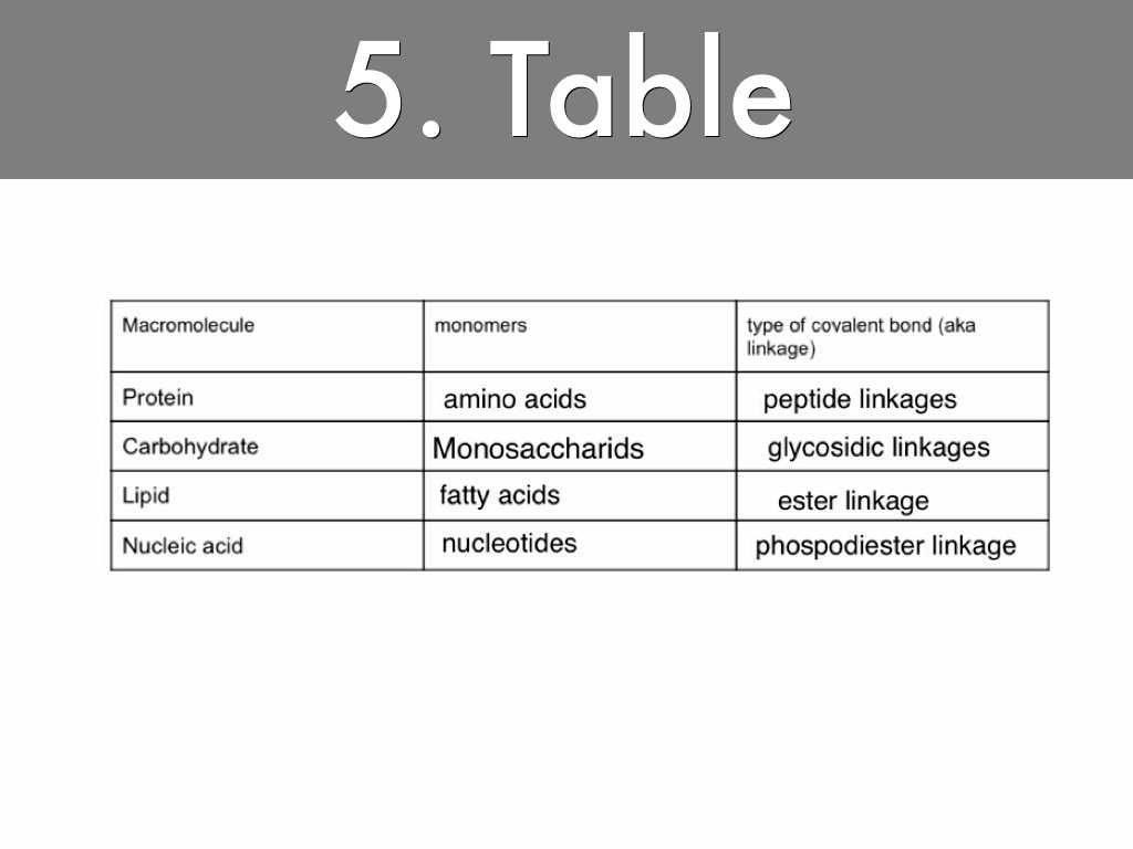 4 types of macromolecules magdalene project org 4 macromolecules
