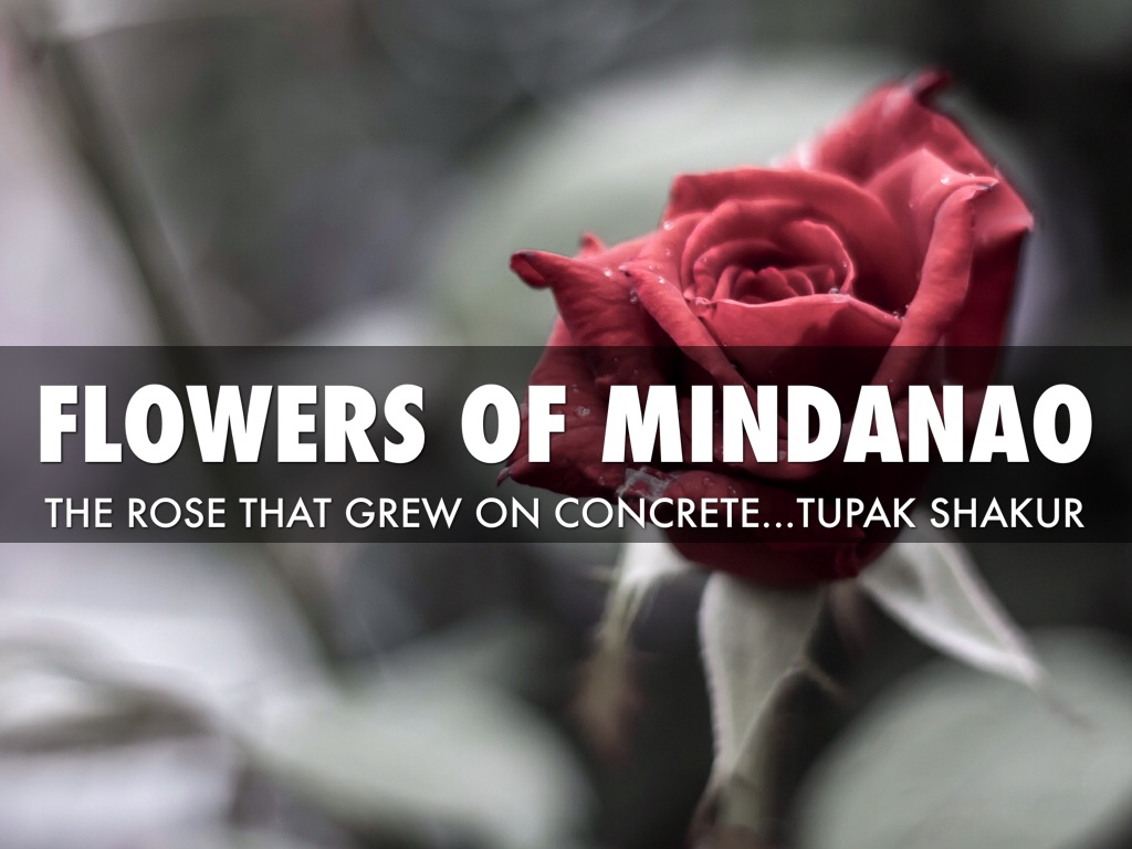 War Flowers by Photo Pinoy