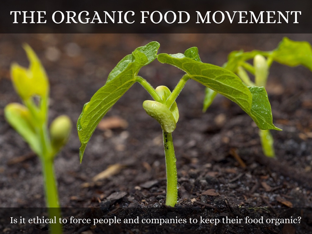 The Organic Food Movement by Abby Hill