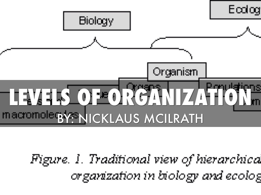 Levels of Organization