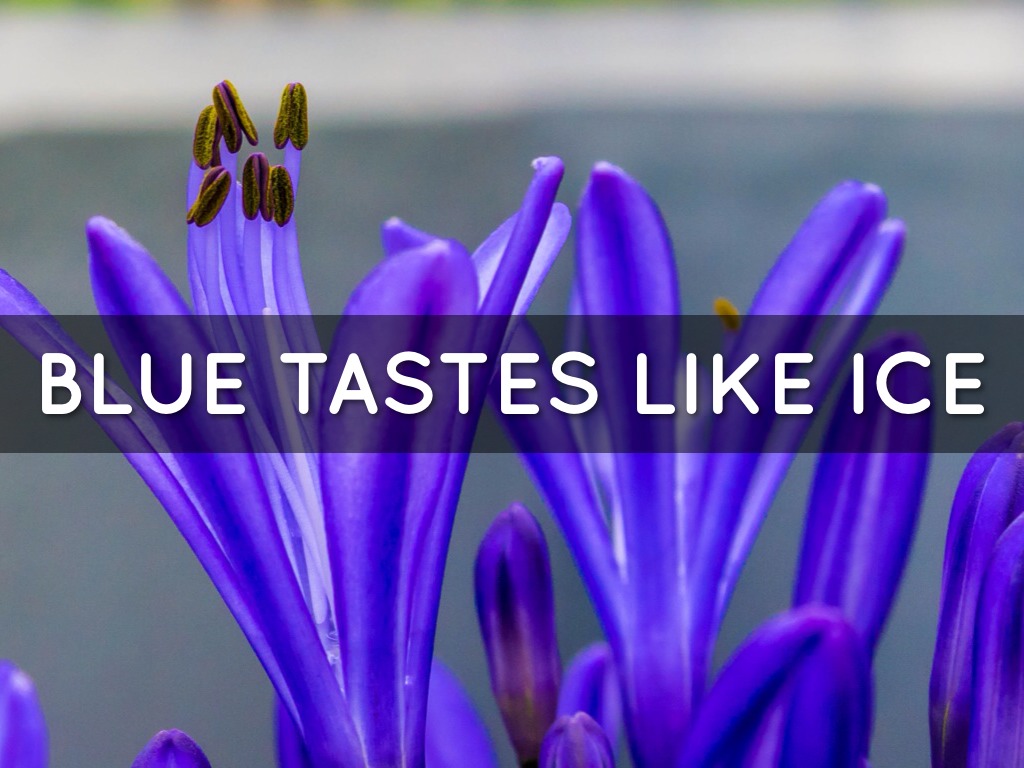 Blue By Kevin by Jenny Debol