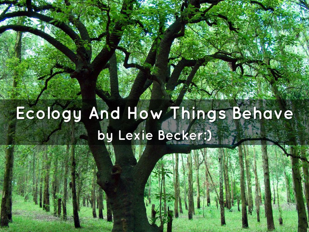 ecology and how things behave