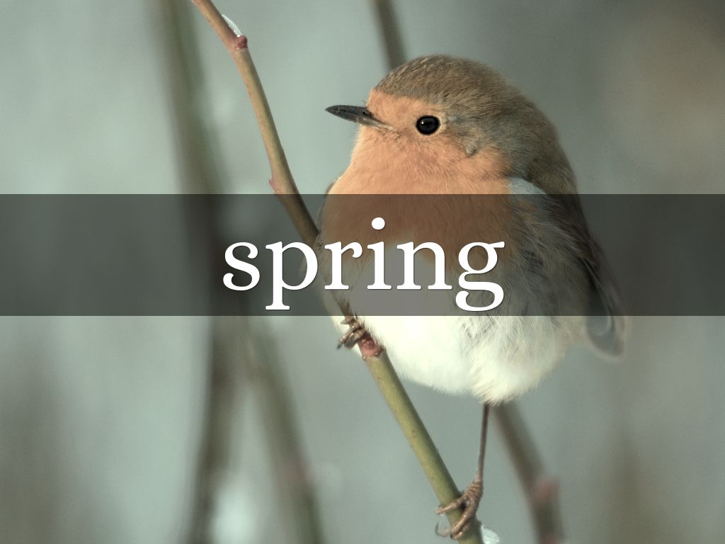 spring