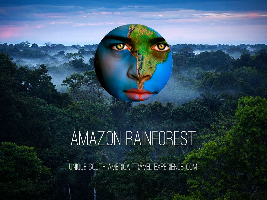 Copiar de Amazon Rainforest