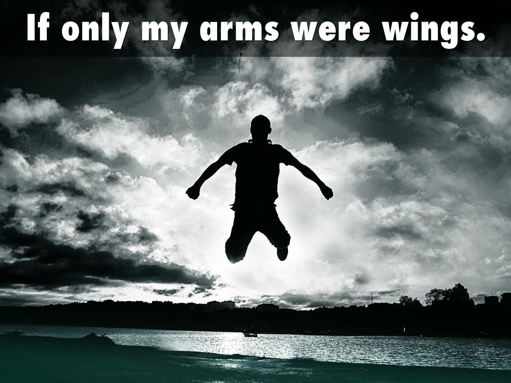 If only my arms were wings.
