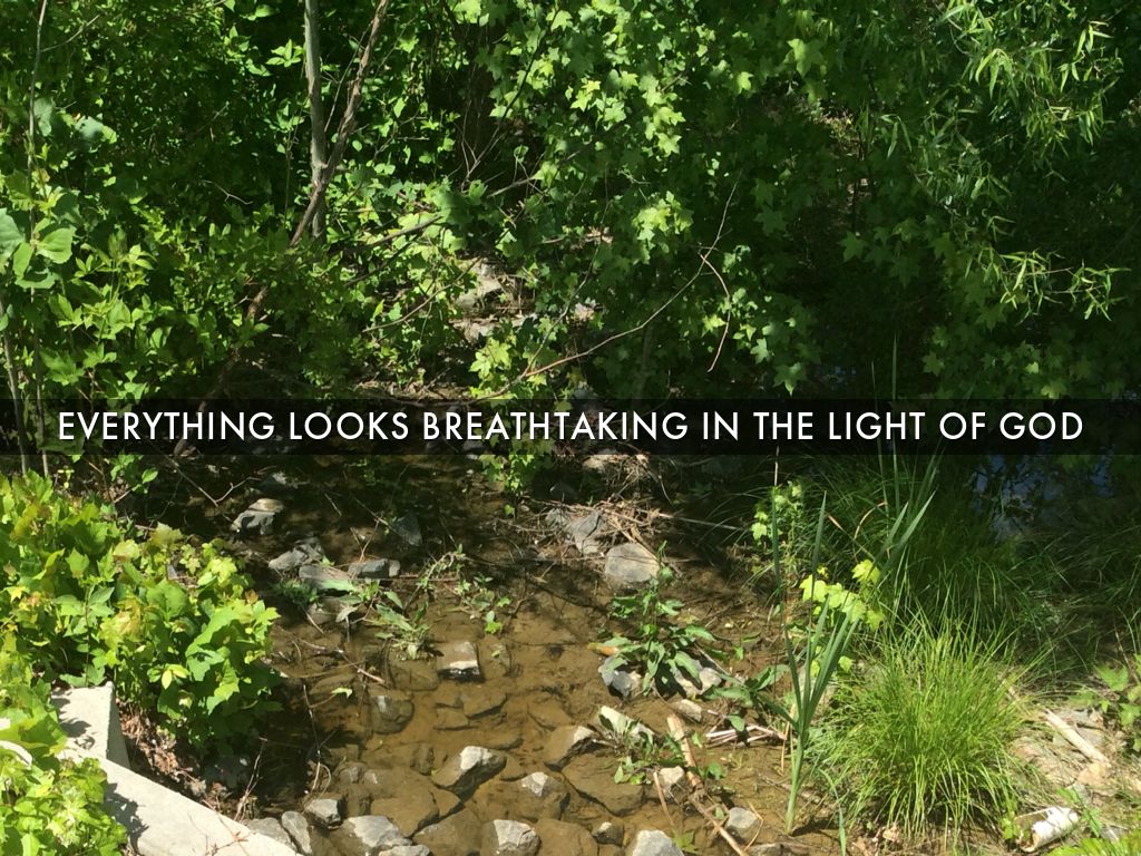 5 main ideas of transcendentalism picture