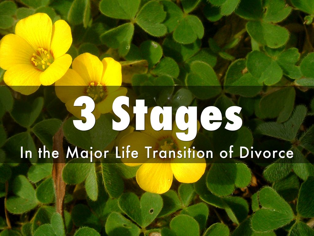 3 Stages