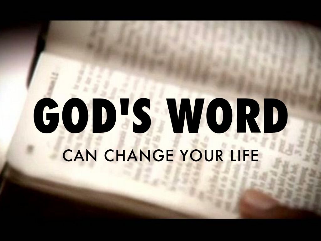 god-s-word-can-change-your-life-by-jeff-jenkins